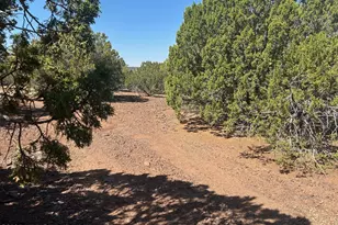 Lot 2 Stanford Dr, Vernon, AZ 85940 - Photo 1