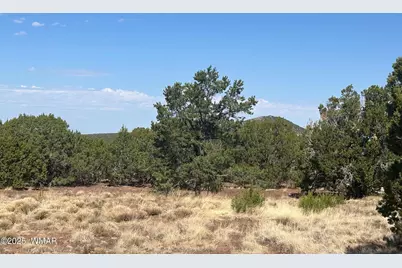 Lot 2 Stanford Drive, Vernon, AZ 85940 - Photo 7