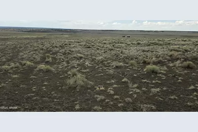 Lot 74 N Antelope Ridge, Concho, AZ 85924 - Photo 3