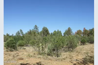 Parcel A Lamb Dr, Pinedale, AZ 85934 - Photo 5