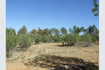 Parcel A Lamb Dr, Pinedale, AZ 85934 - Photo 3