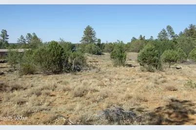 Parcel A Lamb Dr, Pinedale, AZ 85934 - Photo 1