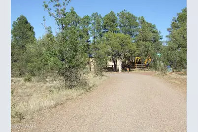 Parcel D Lamb Dr, Pinedale, AZ 85934 - Photo 9