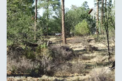 Parcel D Lamb Dr, Pinedale, AZ 85934 - Photo 3