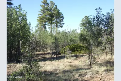Parcel D Lamb Dr, Pinedale, AZ 85934 - Photo 1