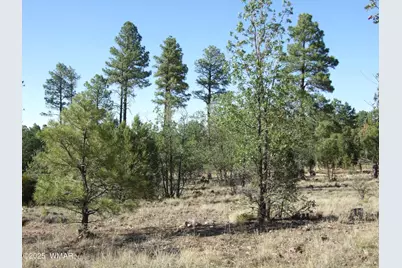 Parcel D Lamb Dr, Pinedale, AZ 85934 - Photo 11