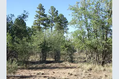 Parcel E Lamb Dr, Pinedale, AZ 85934 - Photo 1