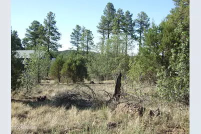 Parcel E Lamb Dr, Pinedale, AZ 85934 - Photo 7