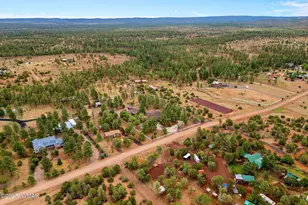 1955 Ricochet Ranch Road, Overgaard, AZ 85933 - Photo 41