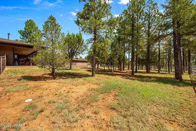 1955 Ricochet Ranch Road, Overgaard, AZ 85933 - Photo 35