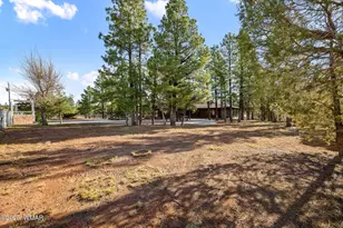 1955 Ricochet Ranch Road, Overgaard, AZ 85933 - Photo 5