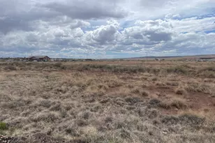 29 Co Rd 6010, Saint Johns, AZ 85936 - Photo 1