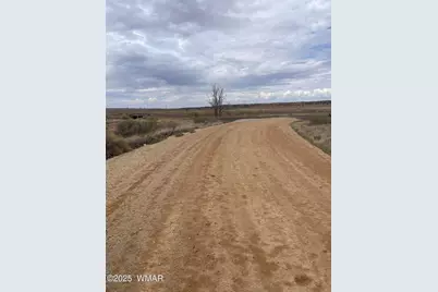 29 County Road 6010, Saint Johns, AZ 85936 - Photo 5