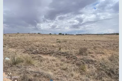 19 County Road 6012, Saint Johns, AZ 85936 - Photo 1