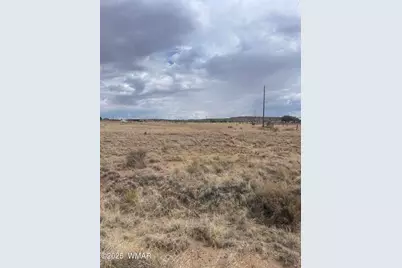 19 County Road 6012, Saint Johns, AZ 85936 - Photo 5