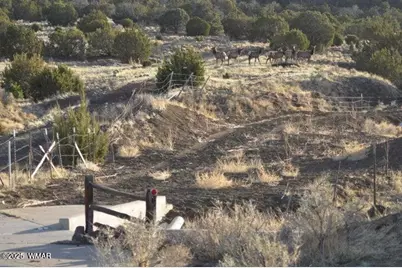 20 Co Rd 3 3044, Concho, AZ 85924 - Photo 3