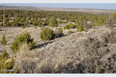 20 Co Rd 3 3044, Concho, AZ 85924 - Photo 13