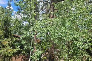 2703 Juniper Cir, Pinetop, AZ 85935 - Photo 19