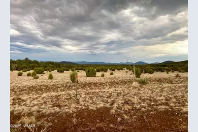 Lot 34 Winchester Trails, Vernon, AZ 85940 - Photo 25