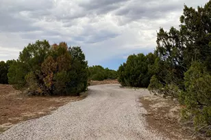 Lot 34 Winchester Trails, Vernon, AZ 85940 - Photo 21