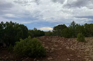 Lot 34 Winchester Trails, Vernon, AZ 85940 - Photo 23