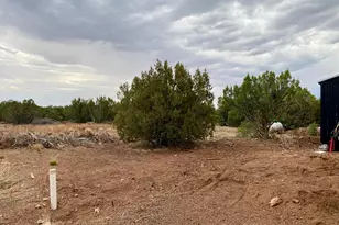 Lot 34 Winchester Trails, Vernon, AZ 85940 - Photo 21