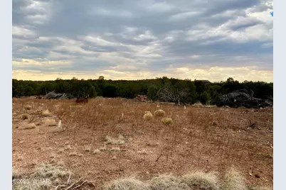 Lot 34 Winchester Trails, Vernon, AZ 85940 - Photo 23