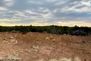 Lot 34 Winchester Trails, Vernon, AZ 85940 - Photo 23