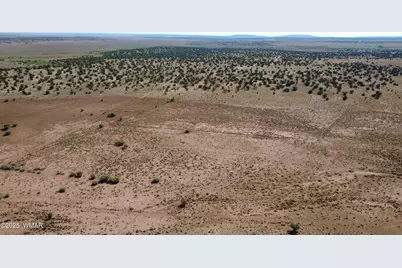 Tbd Wicked Sisters Way 38Ac, Concho, AZ 85924 - Photo 17