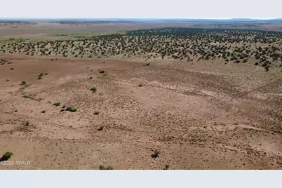 Tbd Wicked Sisters Way 38Ac, Concho, AZ 85924 - Photo 15