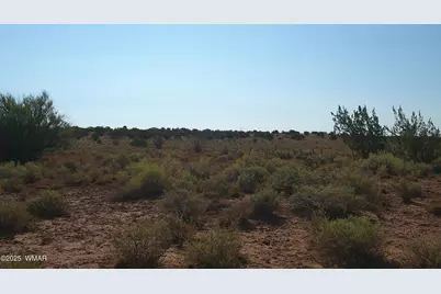 Tbd Wicked Sisters Way 38Ac, Concho, AZ 85924 - Photo 31