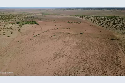Tbd Wicked Sisters Way 38Ac, Concho, AZ 85924 - Photo 13