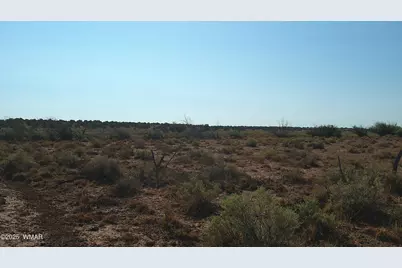 Tbd Wicked Sisters Way 38Ac, Concho, AZ 85924 - Photo 25