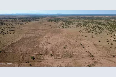 Tbd Wicked Sisters Way 38Ac, Concho, AZ 85924 - Photo 23