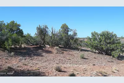 Tbd Wicked Sisters Way 38Ac, Concho, AZ 85924 - Photo 1