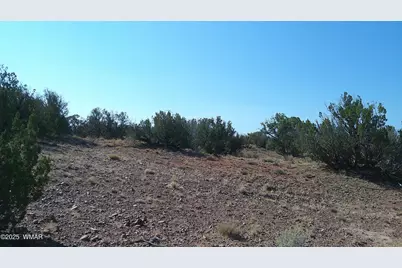 Tbd Wicked Sisters Way 38Ac, Concho, AZ 85924 - Photo 35