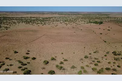 Tbd Wicked Sisters Way 38Ac, Concho, AZ 85924 - Photo 9