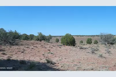 Tbd Wicked Sisters Way 38Ac, Concho, AZ 85924 - Photo 33