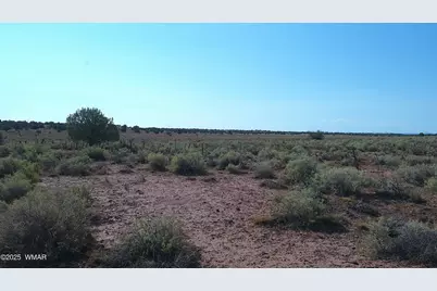 Tbd Wicked Sisters Way 38Ac, Concho, AZ 85924 - Photo 27