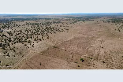 Tbd Wicked Sisters Way 38Ac, Concho, AZ 85924 - Photo 21