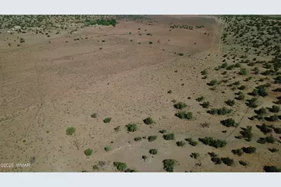 Tbd Wicked Sisters Way 38Ac, Concho, AZ 85924 - Photo 7