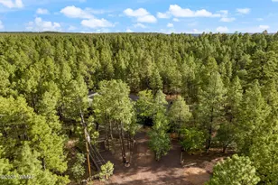 297 Fox Ln, Lakeside, AZ 85929 - Photo 63