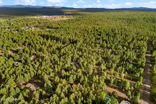 297 Fox Ln, Lakeside, AZ 85929 - Photo 65