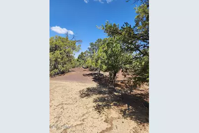 15 Co Rd 3041, Unit 2 #2, Concho, AZ 85924 - Photo 3