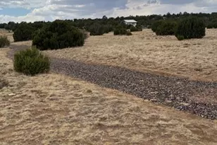 76 County Road 8010, Concho, AZ 85924 - Photo 1