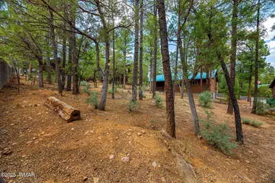 921 E Lauren Court, Show Low, AZ 85901 - Photo 5