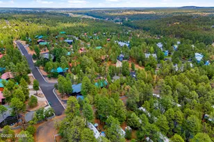 921 E Lauren Ct, Show Low, AZ 85901 - Photo 29