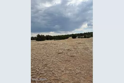 78 County Road 8010, Concho, AZ 85924 - Photo 11