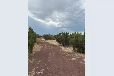 78 County Road 8010, Concho, AZ 85924 - Photo 3