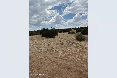 78 County Road 8010, Concho, AZ 85924 - Photo 13
